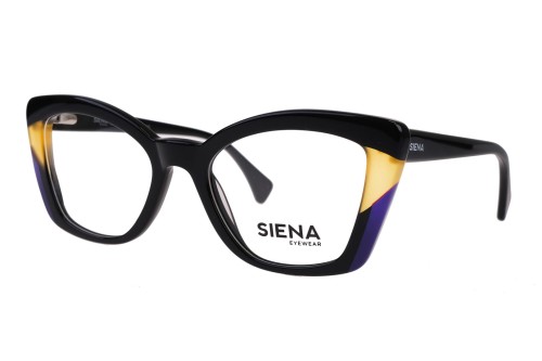 SN0100 C1.jpg